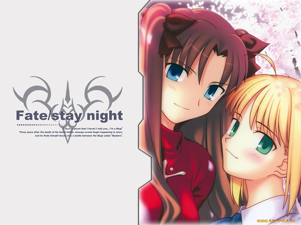 , fate, stay, night